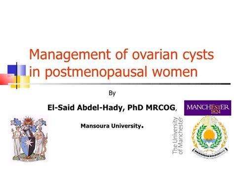biopsy for ovarian cyst|Diagnostics of Ovarian Tumors in Postmenopausal Patients.